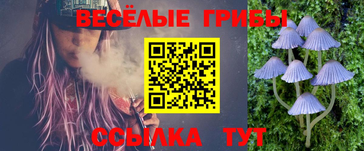 Южно-Сахалинск  Галлюциногенные грибы Cubensis  Вход с VPN 