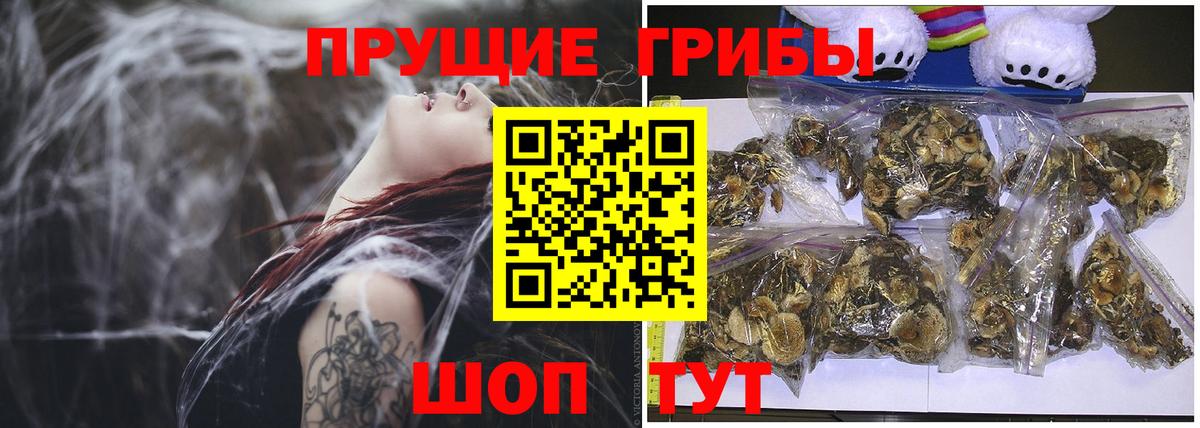Галлюциногенные грибы Cubensis Южно-Сахалинск